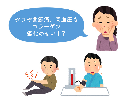 シワや関節痛、高血圧もコラーゲン劣化のせい！？