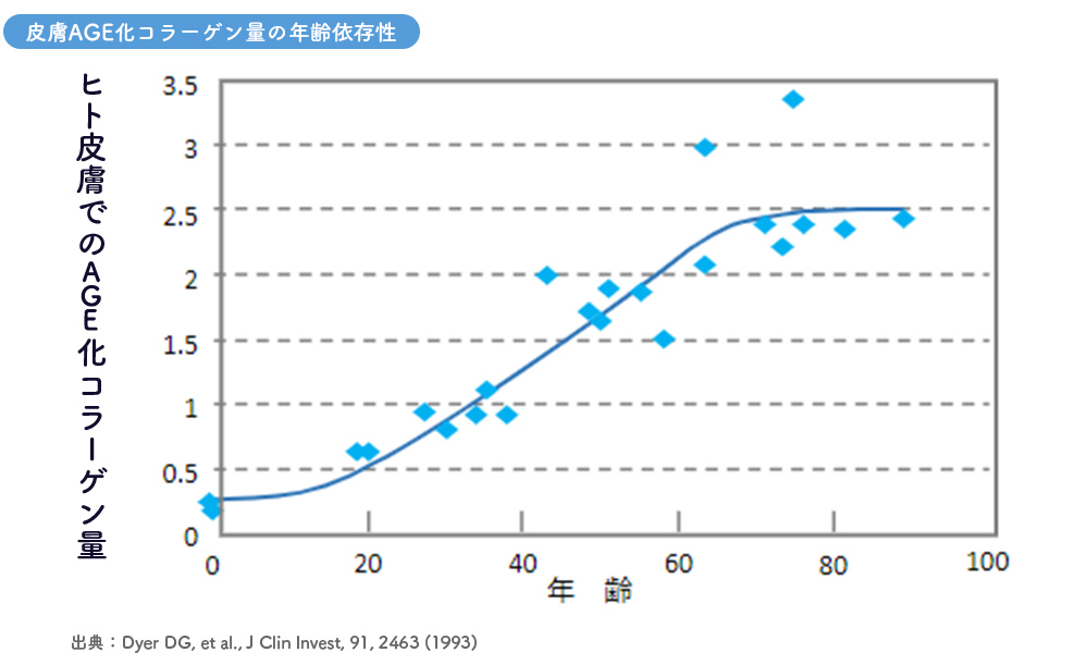 皮膚AGE化コラーゲン量の年齢依存性