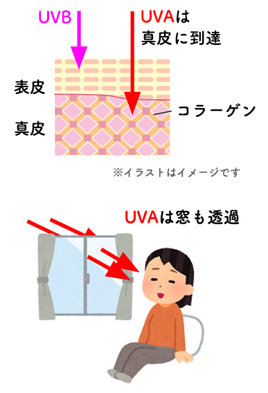 UVAは窓も貫通