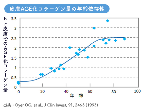 皮膚AGE化コラーゲン量の年齢依存性