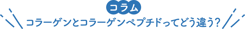 コラーゲンとコラーゲンペプチドってどう違う？ 