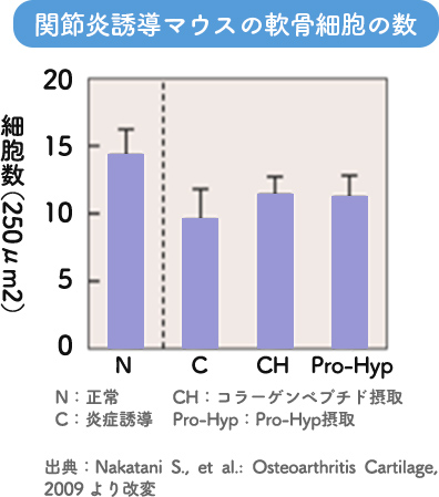  関節炎誘導マウスの軟骨細胞の数