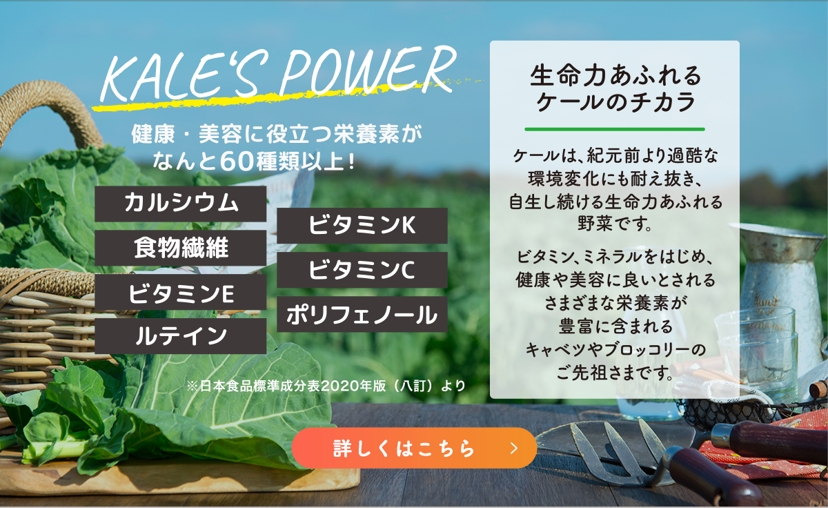 詳しくはこちら