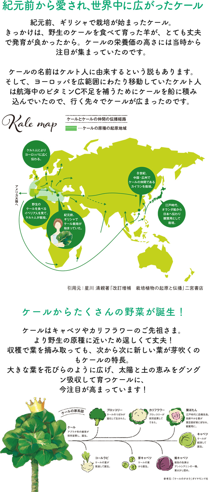 紀元前から愛され、世界中に広がったケール