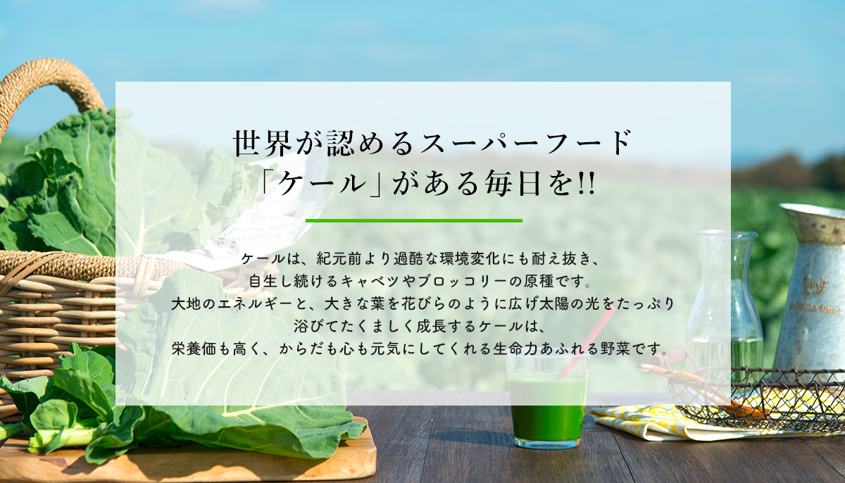 世界が認めるスーパーフード「ケール」がある毎日を！