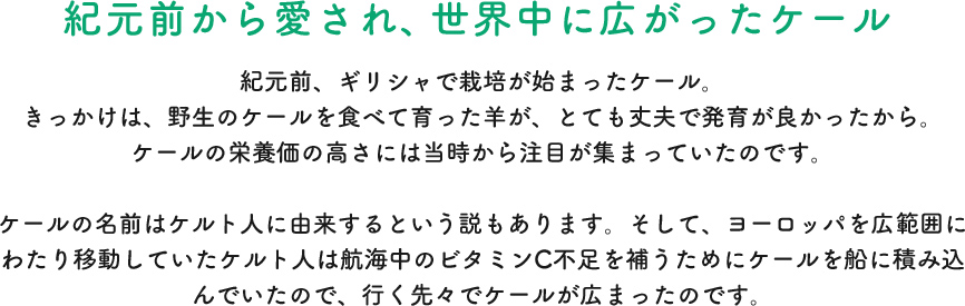 紀元前から愛され、世界中に広がったケール