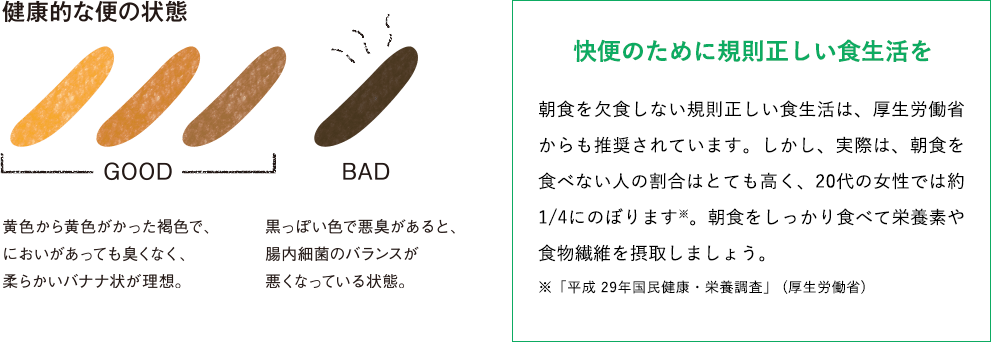 健康的な便の状態