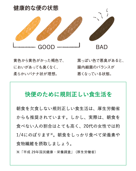 健康的な便の状態