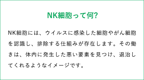 NK細胞には、ウイルスに感染した細胞やがん細胞を認識し、排除する仕組みが存在します。その働きは、体内に発生した悪い要素を見つけ、退治してくれるようなイメージです。