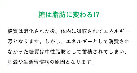 糖質は消化された後、体内に吸収されてエネルギー源となります。しかし、エネルギーとして消費されなかった糖質は中性脂肪として蓄積されてしまい、肥満や生活習慣病の原因となります。