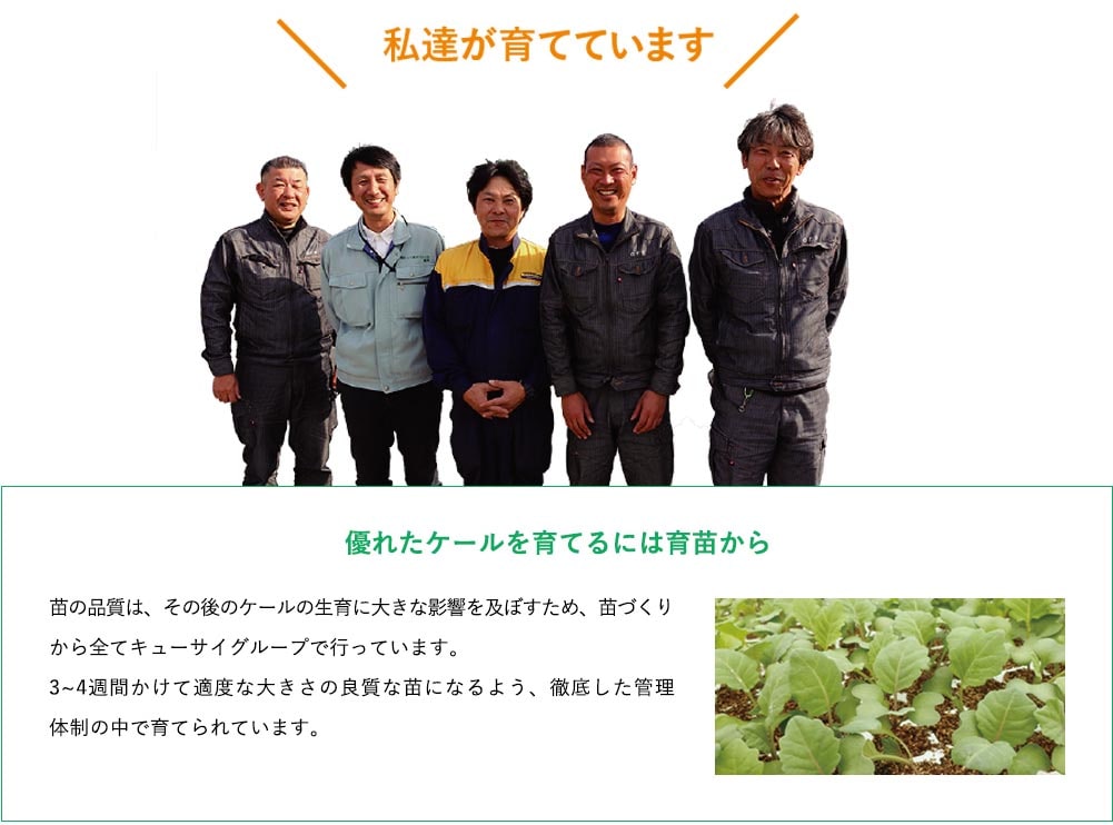 ケールの栄養価を補う食材