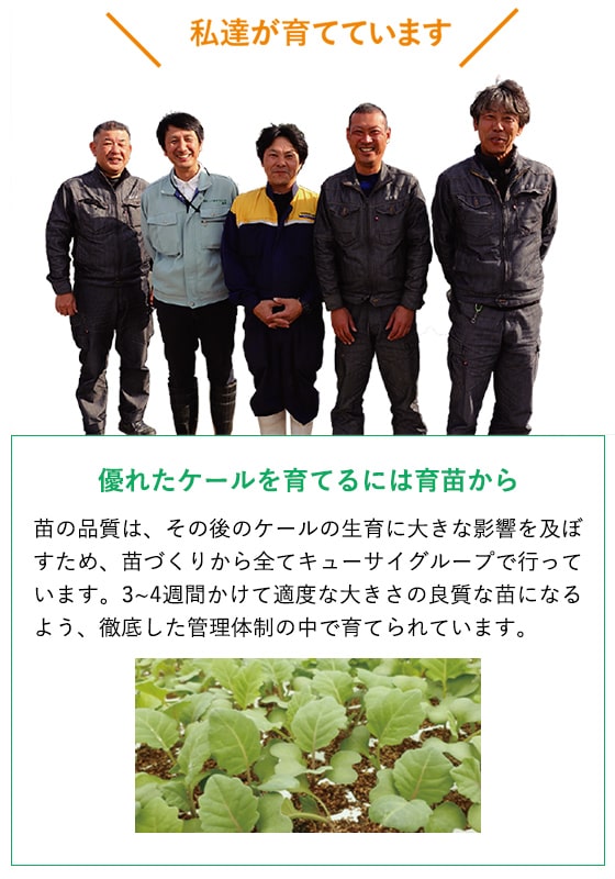 ケールの栄養価を補う食材