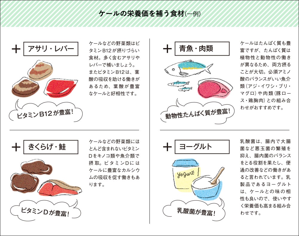 ケールの栄養価を補う食材