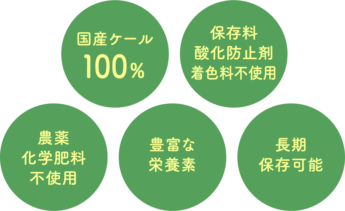 国産ケール 100% 保存料 酸化防止剤 着色料不使用 農薬 化学肥料 不使用 豊富な 栄養素 長期 保存可能