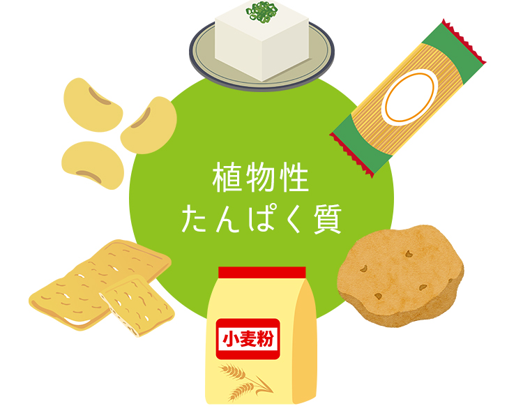 植物性たんぱく質