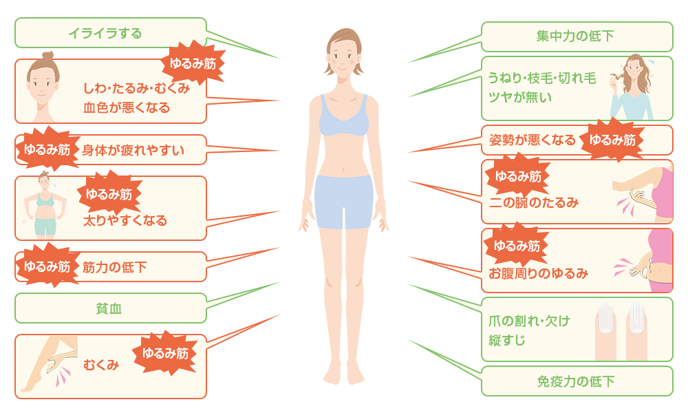 たんぱく質不足が要因の1つとして考えられるカラダの不調は・・・