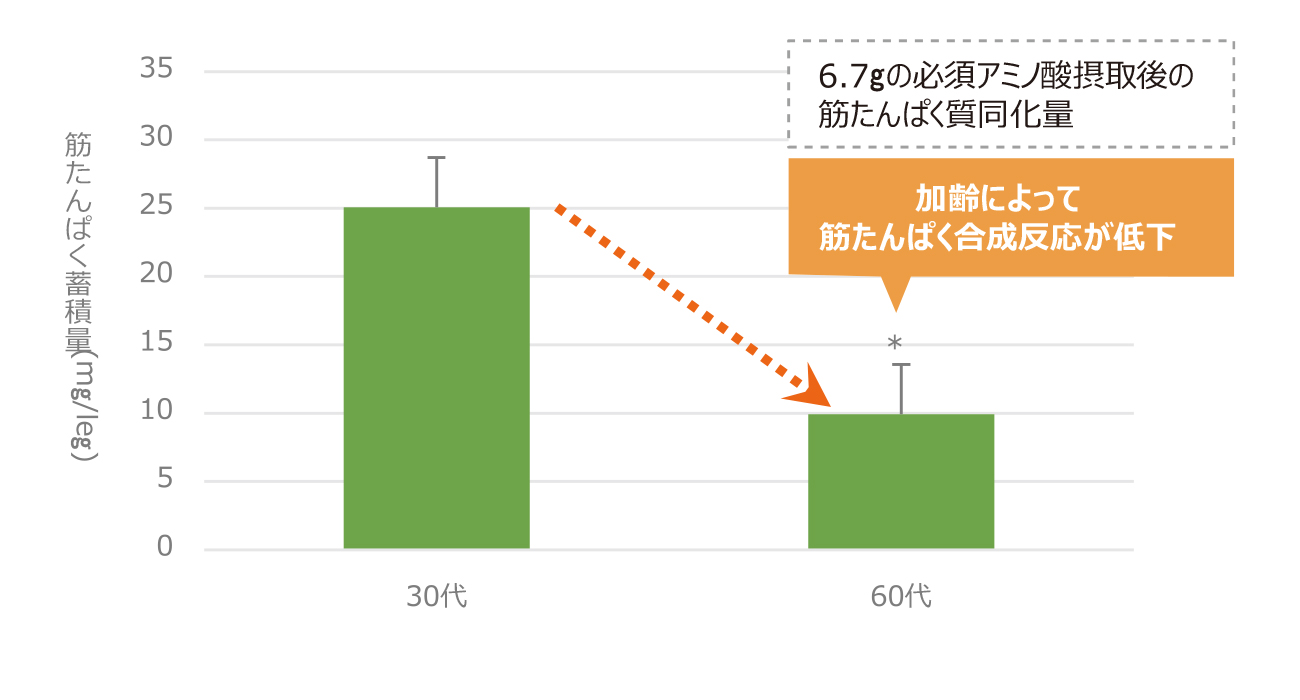 30代と60代の筋たんぱく質合成反応比較