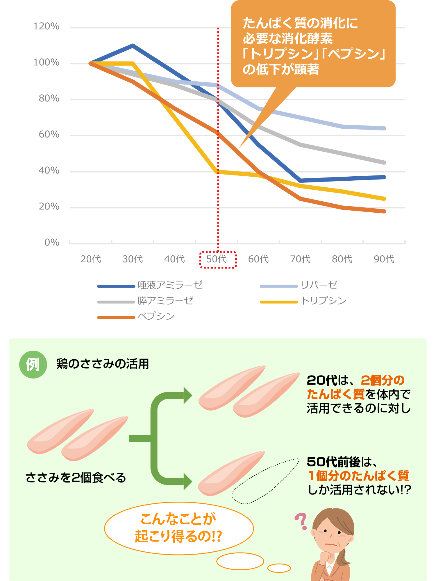 30代と60代の筋たんぱく質合成反応比較