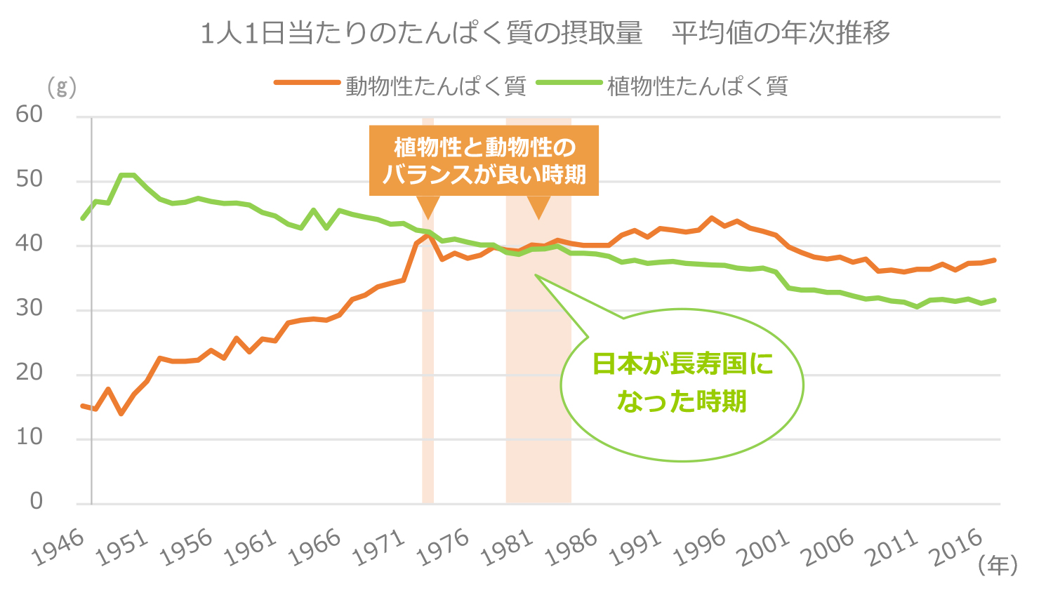 植物性・動物性たんぱく質摂取量