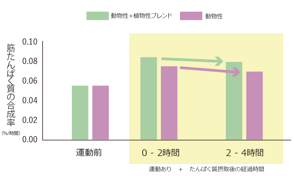 ダブルたんぱく 筋たんぱく質の合成率