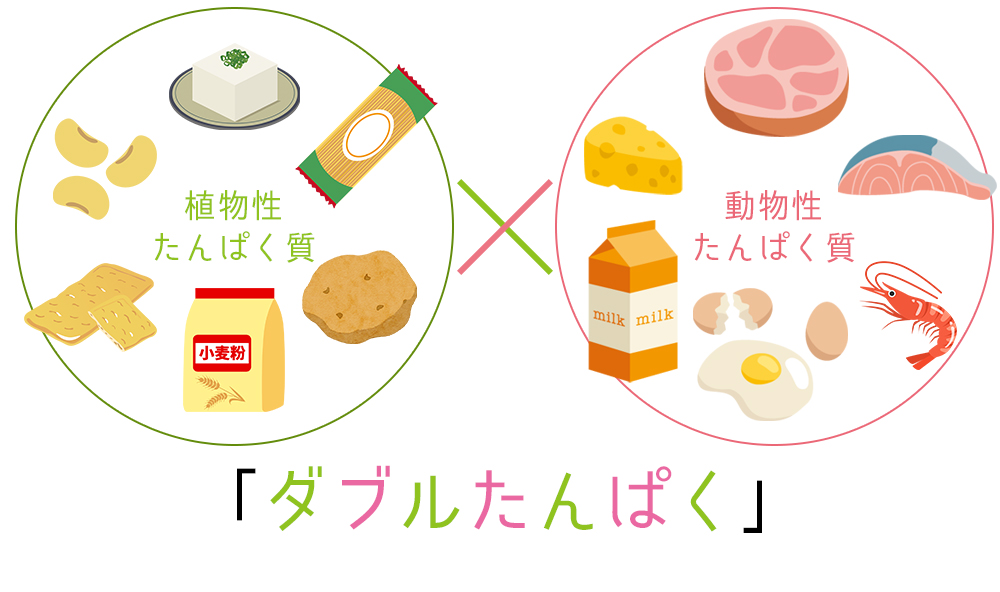 たんぱく質の新しい摂り方植物性・動物性 の ダブル摂取