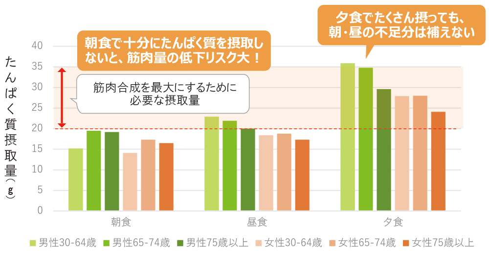 各食事のたんぱく質摂取量