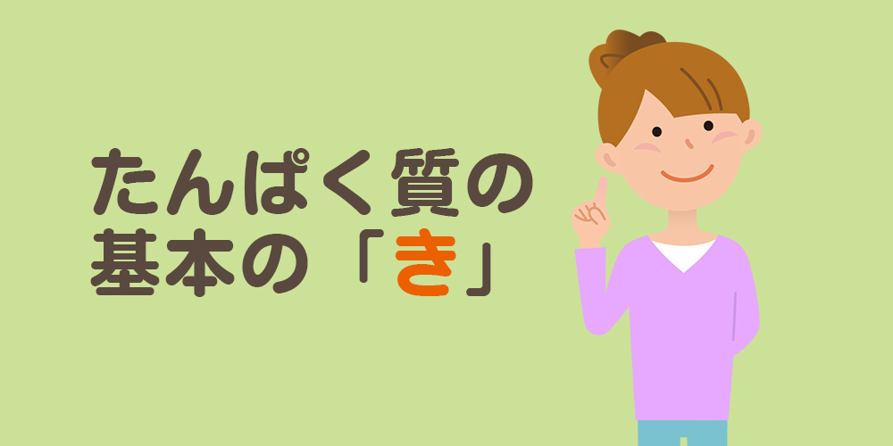たんぱく質の基本の「き」