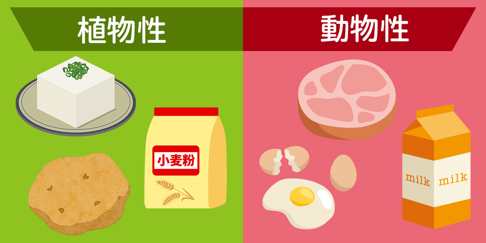 新提案！ダブルたんぱくのチカラ