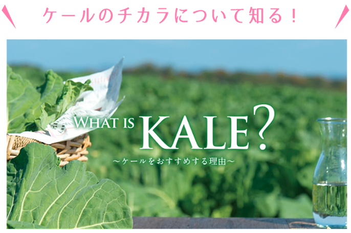 ケールのチカラについて知る！WHAT IS KALE?